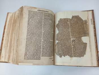 Bible Melantrichova