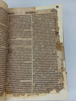 Bible Melantrichova