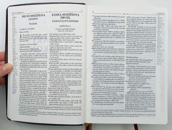 Miloš Bič: Bible