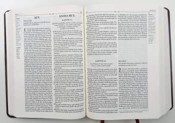 Miloš Bič: Bible