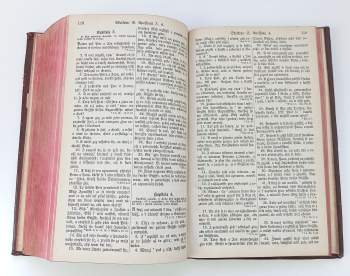 Biblia sacra, to gest, Biblj swatá, aneb, Wssecka swatá pjsma Starého i Nowého zákona
