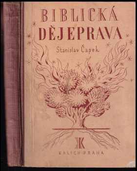 Stanislav Čapek: Biblická dějeprava