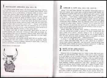 Viktor Hájek: Biblická dějeprava