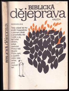 Biblická dějeprava