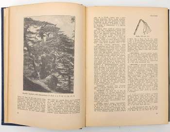 Adolf Novotný: Biblický slovník