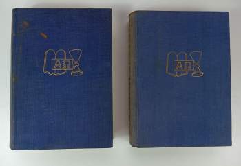 Adolf Novotný: Biblický slovník