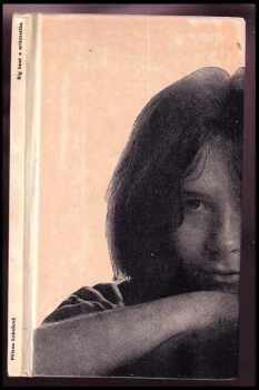 Big beat a aritmetika aneb kostkovaný ideály