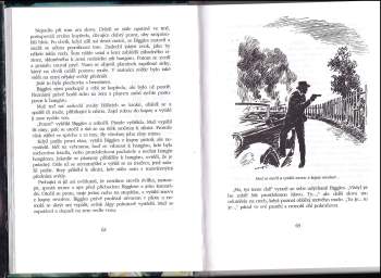 William Earl Johns: Biggles letí na jih