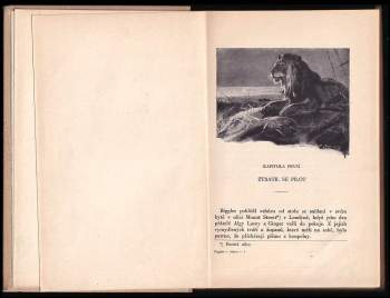William Earl Johns: Biggles v Africe