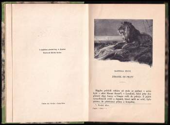 William Earl Johns: Biggles v Africe
