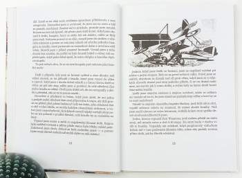 William Earl Johns: Biggles - zapomenuté příběhy