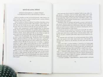 William Earl Johns: Biggles - zapomenuté příběhy