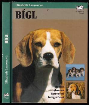 Elizabeth Lanyon: Bígl