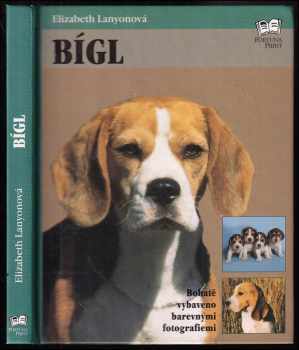 Elizabeth Lanyon: Bígl