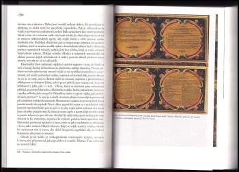 Olivier Chaline: Bílá hora