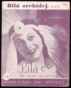 Bílá orchidej