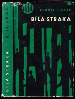 Bílá straka