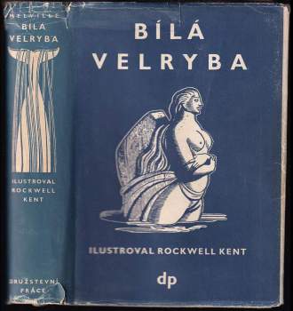 Bílá velryba