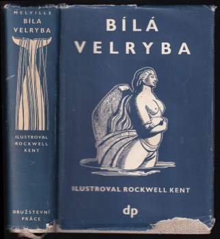 Bílá velryba