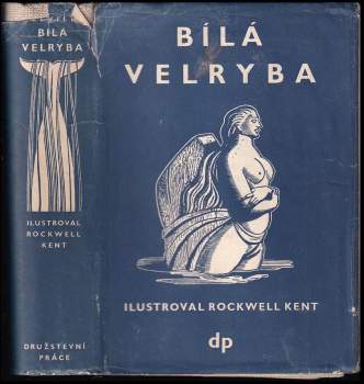 Bílá velryba