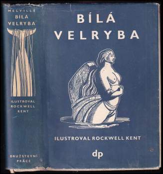 Bílá velryba