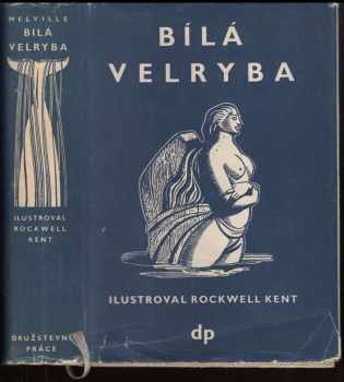 Bílá velryba
