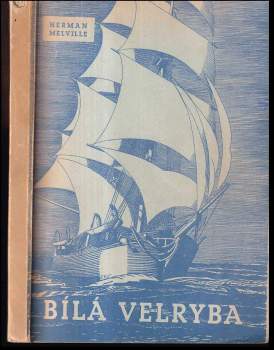 Bílá velryba