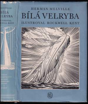 Bílá velryba