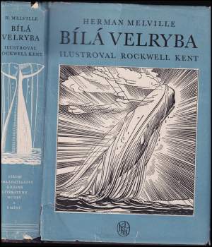 Bílá velryba