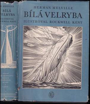 Bílá velryba