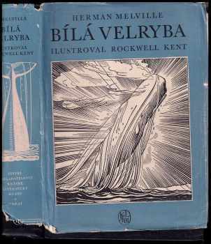 Bílá velryba