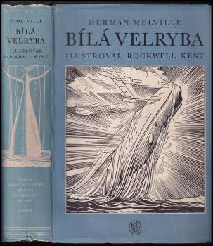 Bílá velryba