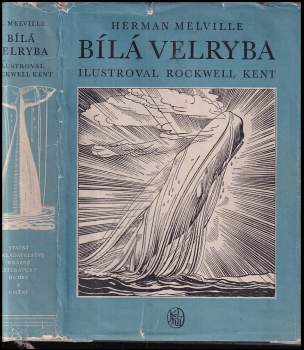 Bílá velryba