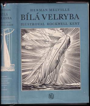 Bílá velryba