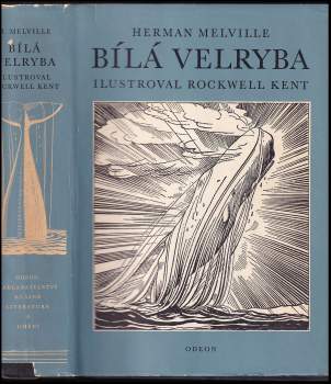 Bílá velryba