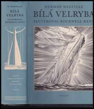 Bílá velryba