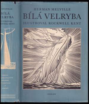Bílá velryba