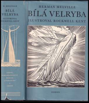Bílá velryba