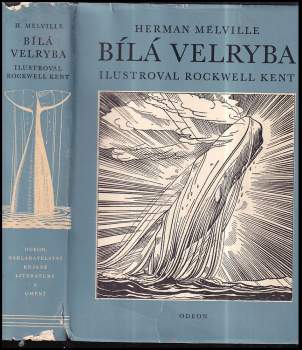 Bílá velryba