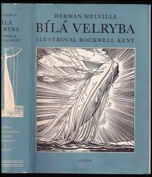 Bílá velryba