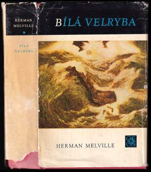 Bílá velryba