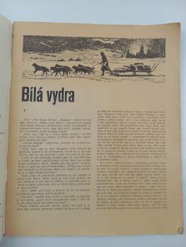 Josef Kutík: Bílá vydra
