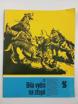 Bílá vydra na stopě