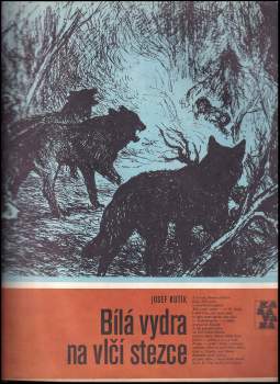 Bílá vydra na vlčí stezce