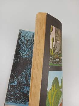 Josef Kutík: Bílá vydra na vlčí stezce