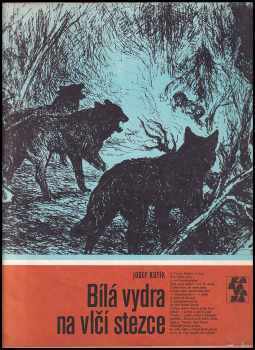 Bílá vydra na vlčí stezce