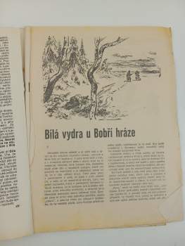 Josef Kutík: Bílá vydra u Bobří hráze