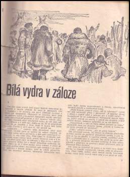 Josef Kutík: Bílá vydra v záloze