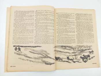 Thomas Poulter: Bílá země, Rozruch 33 (138), ročník III.