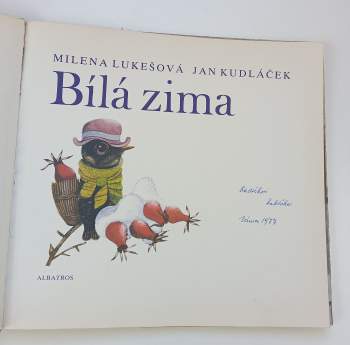 Bílá zima